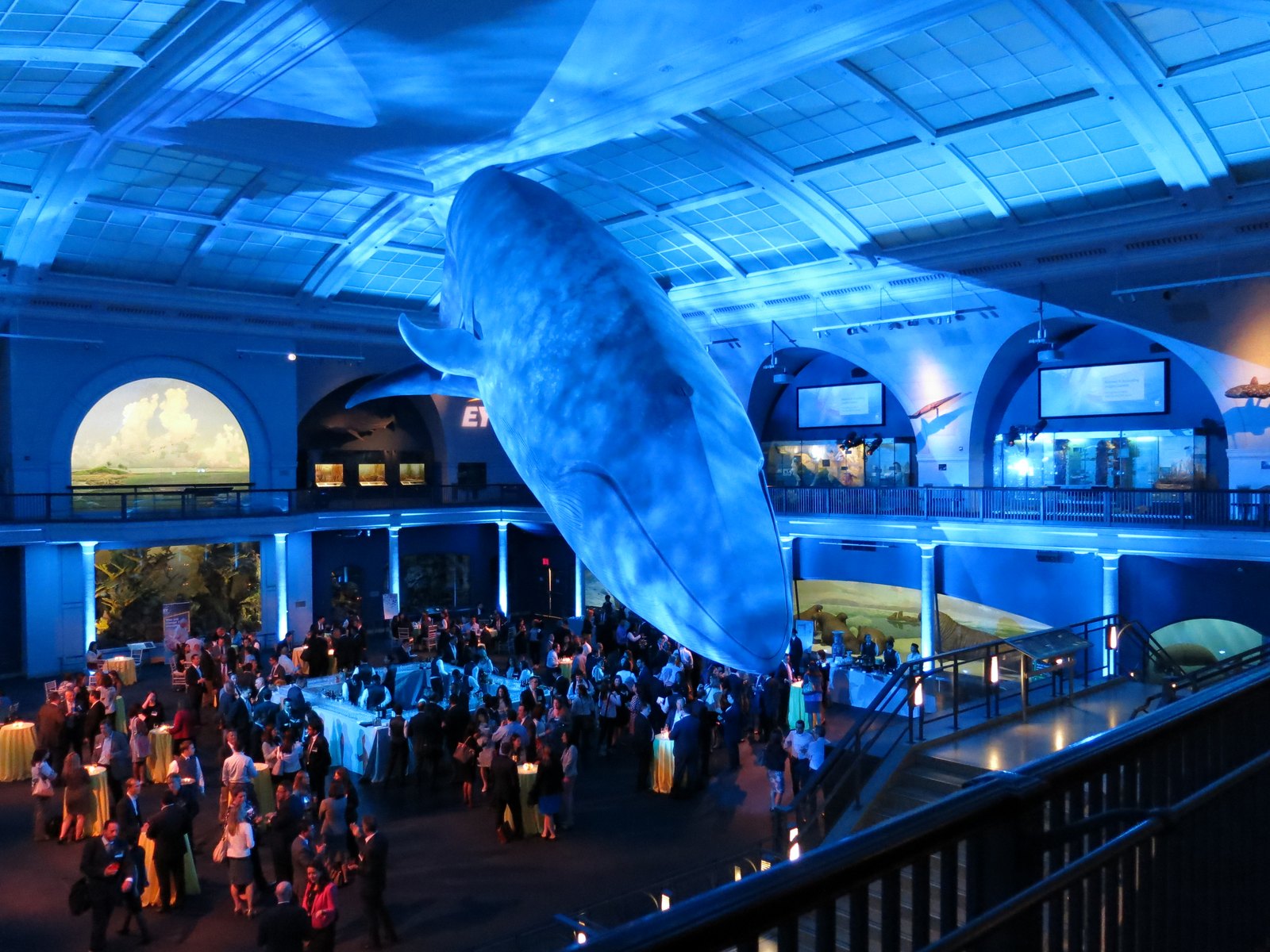 Lighting Design by Wizard Studios
