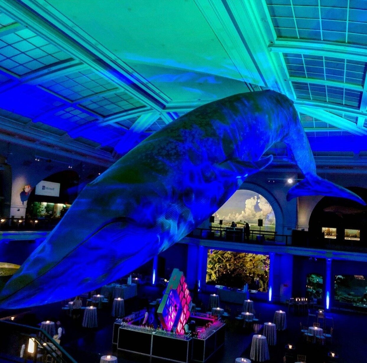 Whale sculpture lit in blue beneath a glass atrium